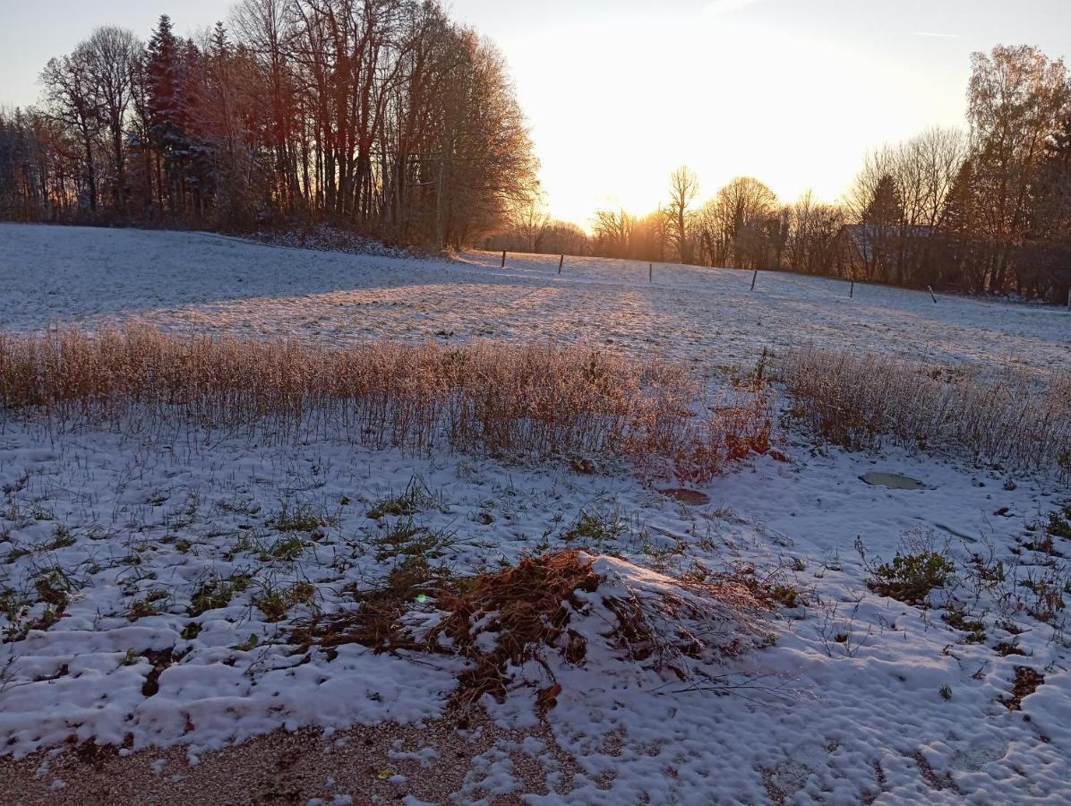 La P'Tite Maison Bois Du Herisson Menetrux-en-Joux Exterior foto